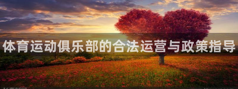 熊猫体育官方网站