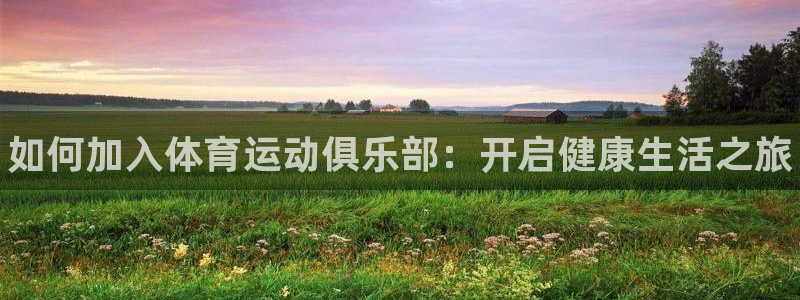 熊猫体育直播