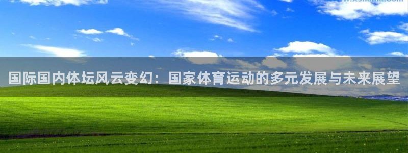 熊猫体育比赛直播