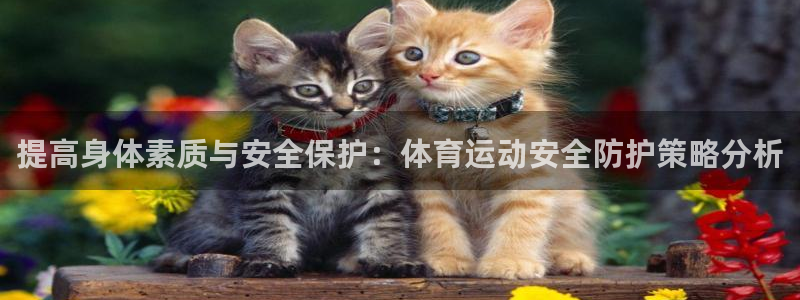 熊猫体育app官方入口