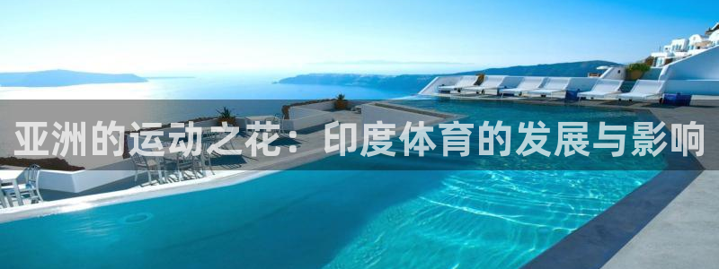 熊猫体育平台官网