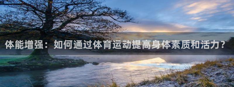 181熊猫体育
