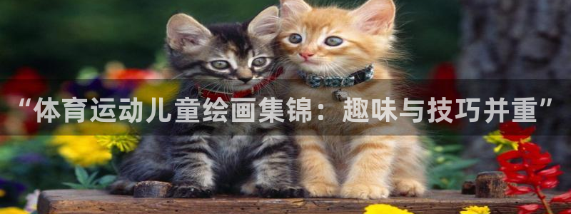 熊猫体育直播nba